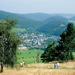 아파트 Bergzauber 2 Mit Meinecardplus Im Zentrum